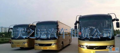 哈爾濱天之運(yùn)租車(chē)公司 道里新陽(yáng)路易登網(wǎng)汽車(chē)租賃服務(wù)介紹